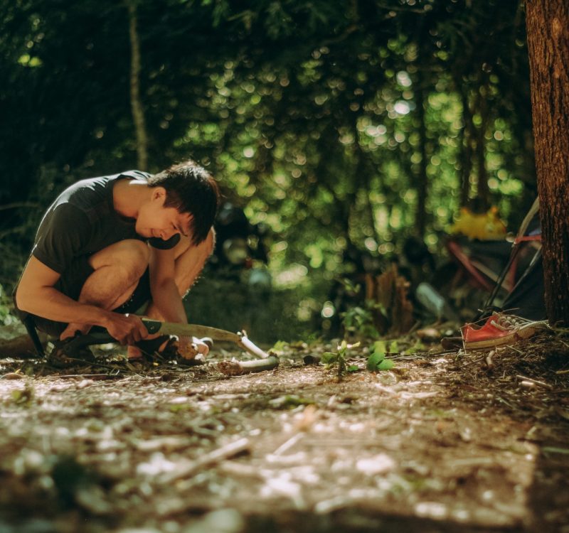 pexels-dương-nhân-2888098