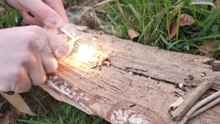 allumage des copeaux du bois pin Ours Furtif avec la pierre à feu