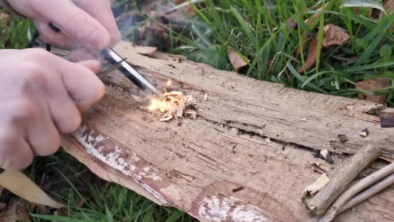 allumage des copeaux du bois pin Ours Furtif avec la pierre à feu