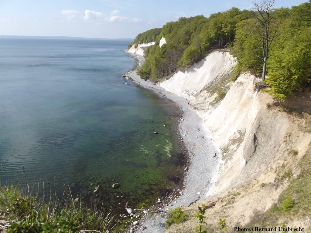 falaise craie