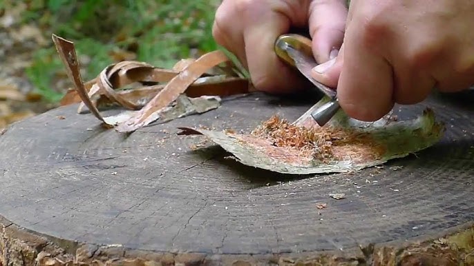 écorce de bouleau et firesteel